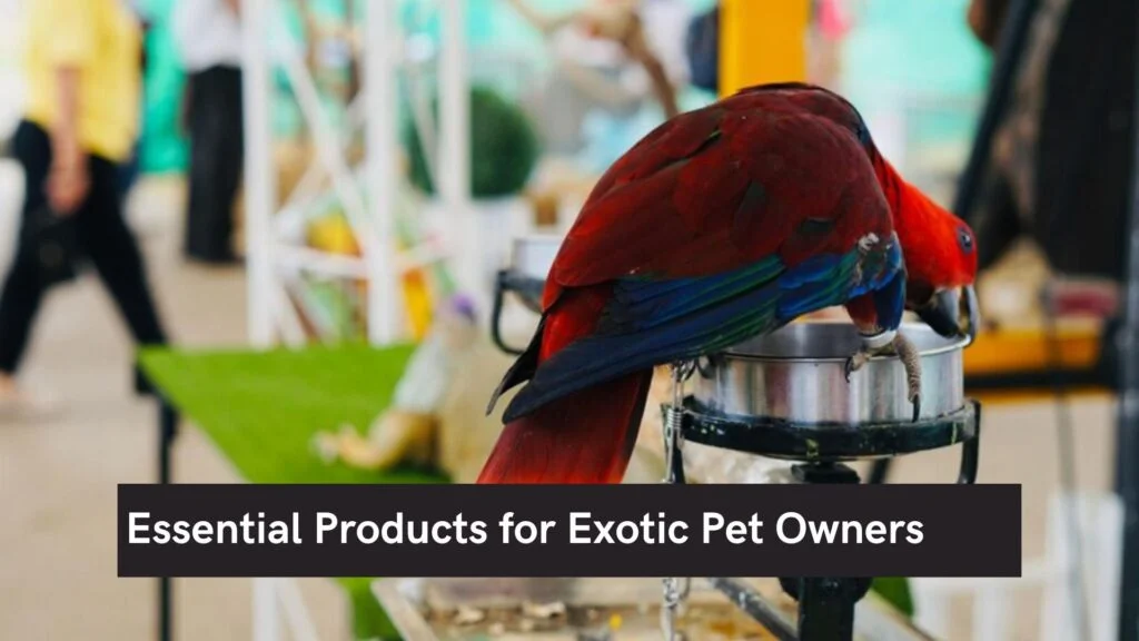 Essential Products for Exotic Pet Owners
