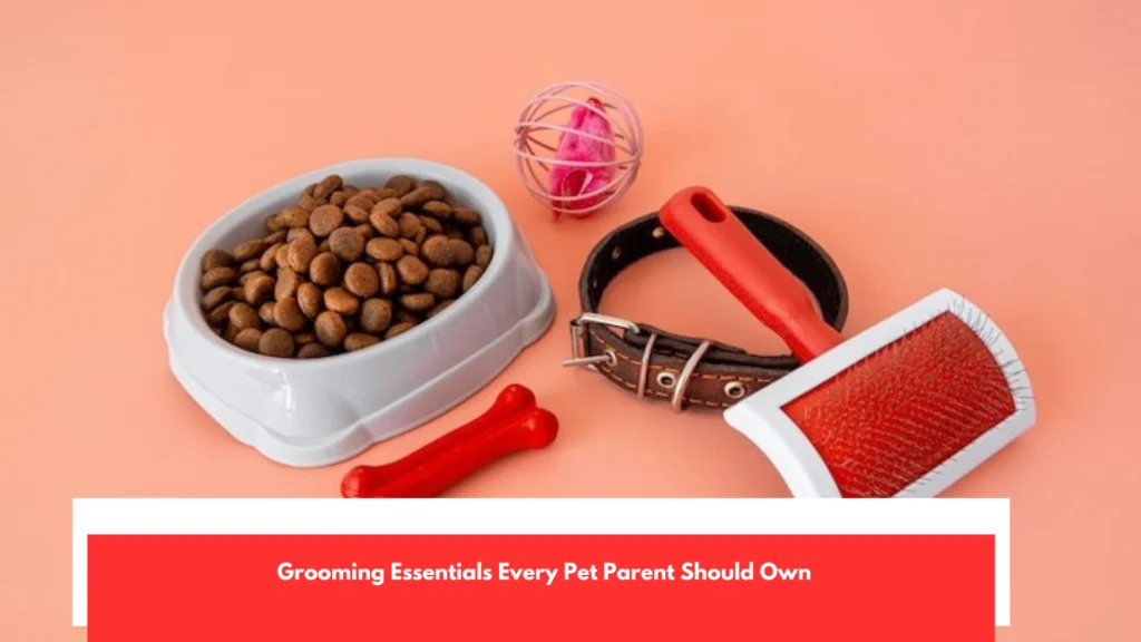 Grooming Essentials Every Pet Parent Should Own