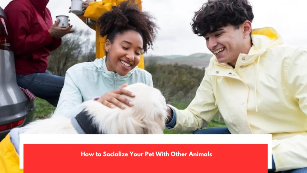 How to Socialize Your Pet With Other Animals