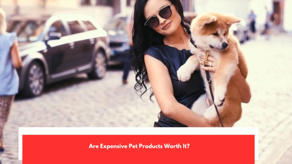 Are Expensive Pet Products Worth It?