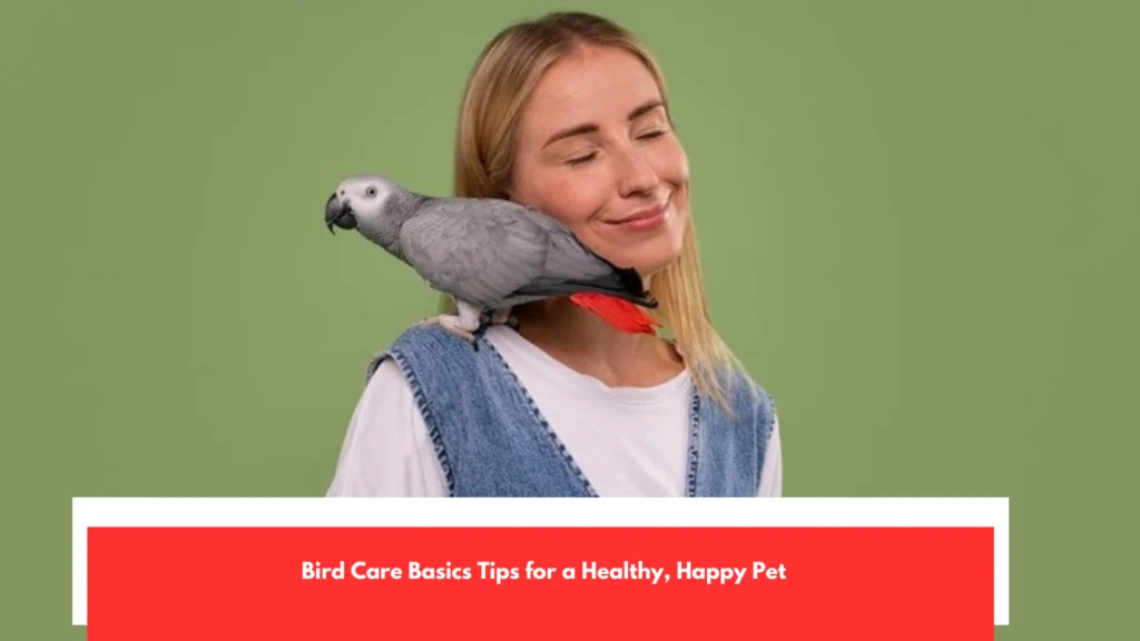 Bird Care Basics Tips for a Healthy, Happy Pet