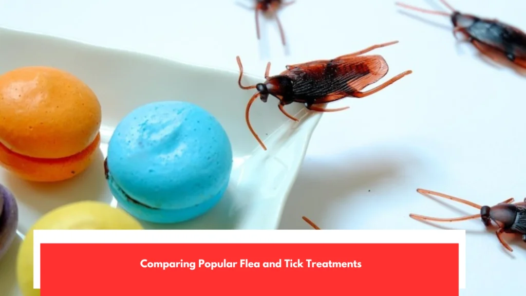 Comparing Popular Flea and Tick Treatments