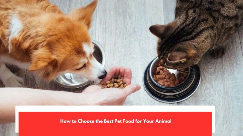 How to Choose the Best Pet Food for Your Animal