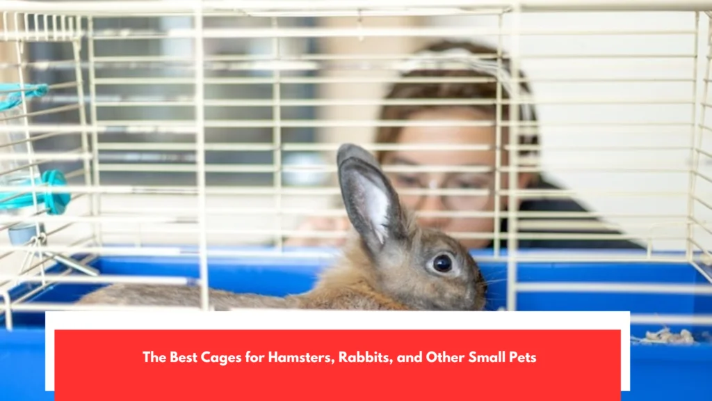 The Best Cages for Hamsters, Rabbits, and Other Small Pets