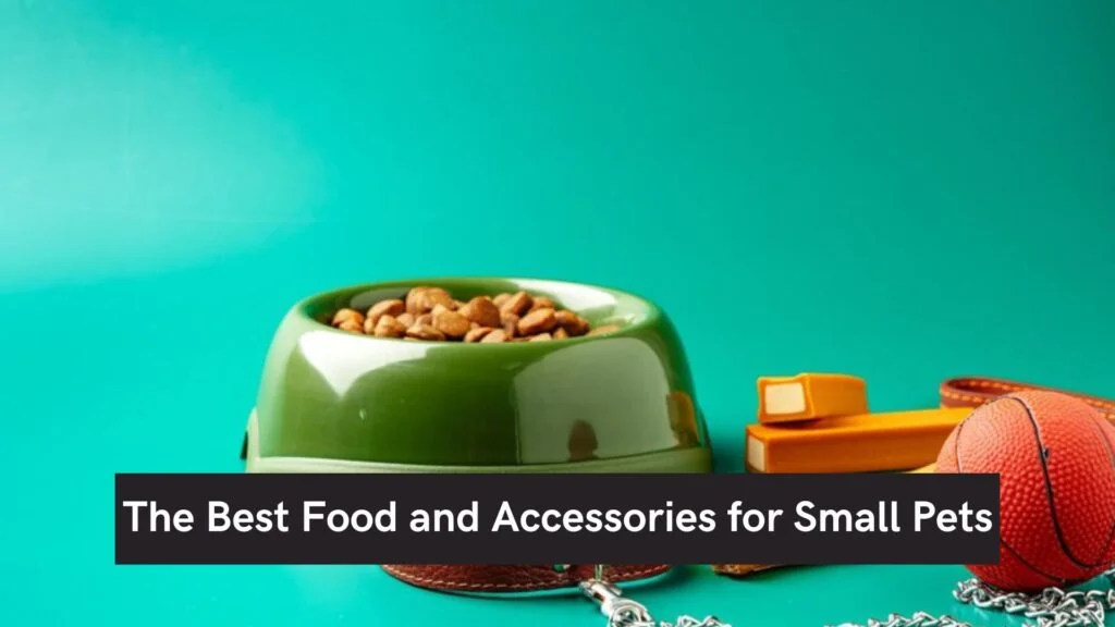The Best Food and Accessories for Small Pets