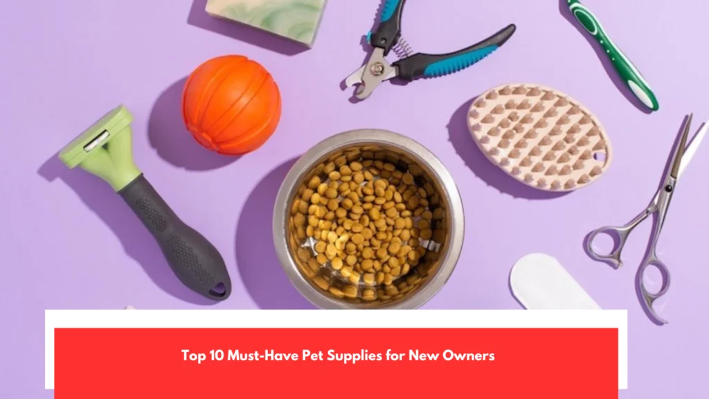 Top 10 Must-Have Pet Supplies for New Owners