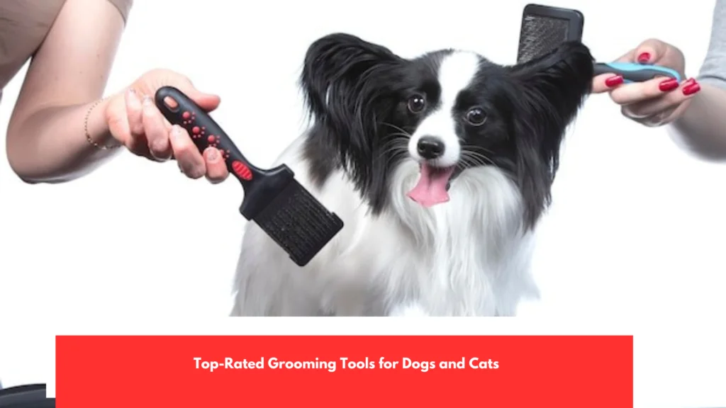 Top-Rated Grooming Tools for Dogs and Cats
