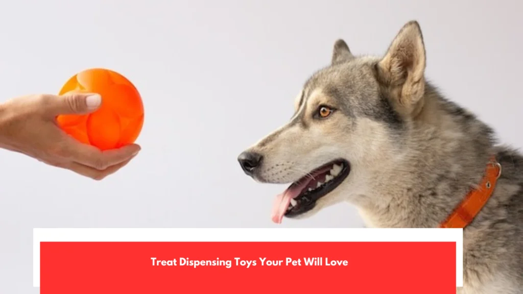 Treat Dispensing Toys Your Pet Will Love